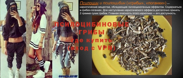 apvp Белокуриха