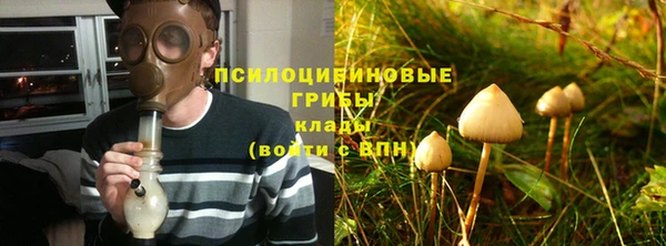 apvp Белокуриха
