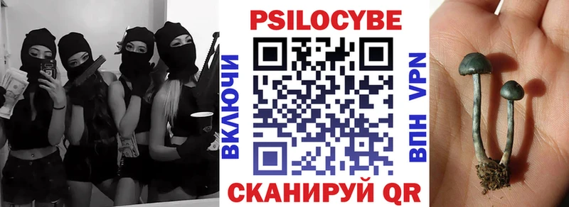 Псилоцибиновые грибы Cubensis  продажа наркотиков  Полесск 
